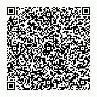 vCard 74951881378