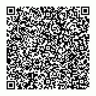 vCard 74951881379