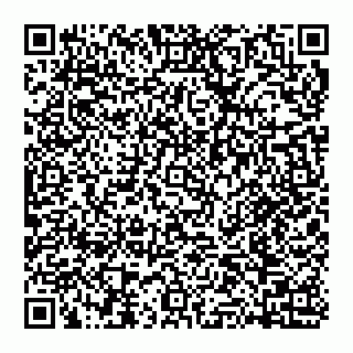 vCard 74951888196