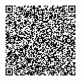 vCard 74951919100