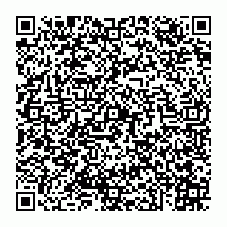 vCard 74951919211