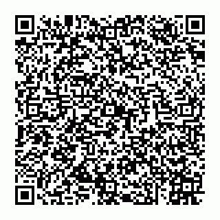 vCard 74951919304