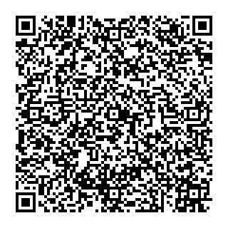 vCard 74951919309