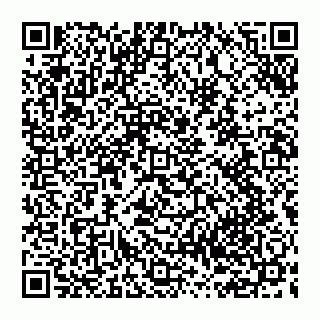 vCard 74951919319