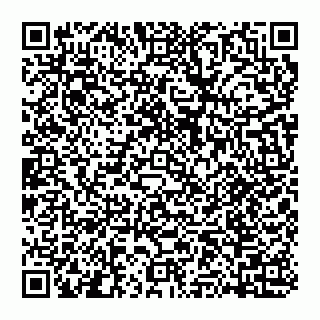 vCard 74951919351