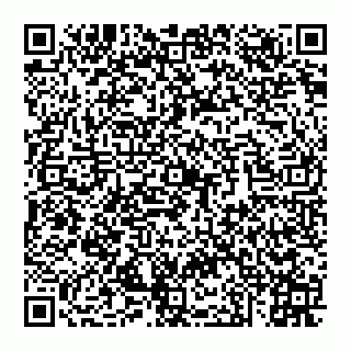 vCard 74951919376