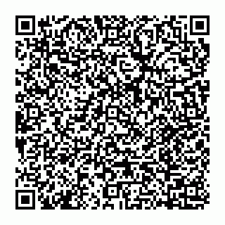 vCard 74951919413