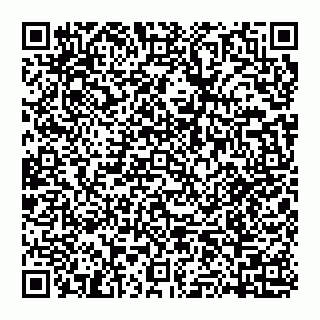 vCard 74951919423