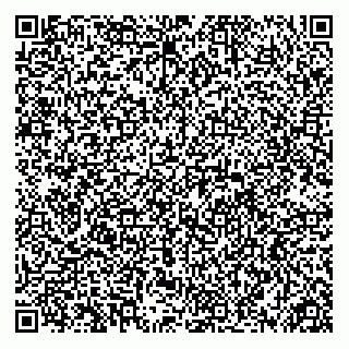 vCard 74951991998