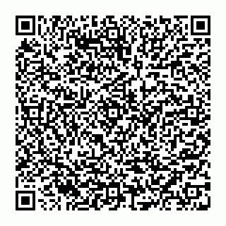 vCard 74951999872