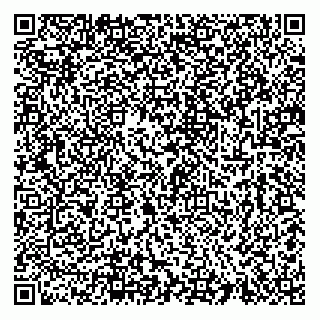 vCard 74952133041
