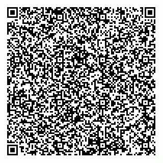 vCard 74952256100