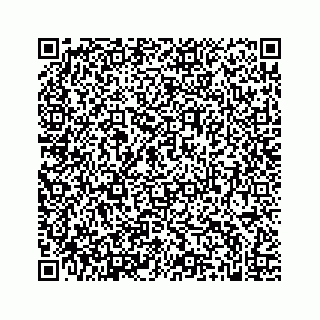 vCard 74952281382