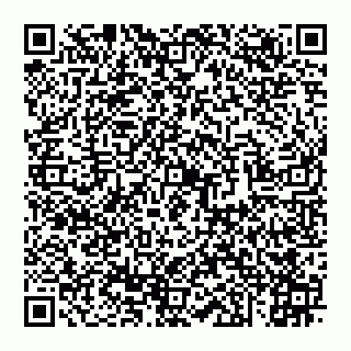 vCard 74952287084