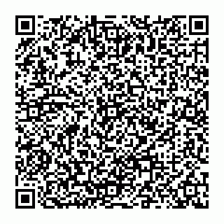 vCard 74952287907