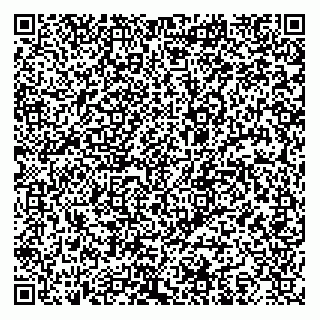 vCard 74952293877