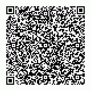 vCard 74952293900