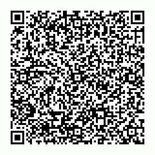 vCard 74952293917