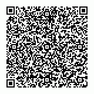 vCard 74952311863