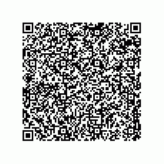 vCard 74952413873
