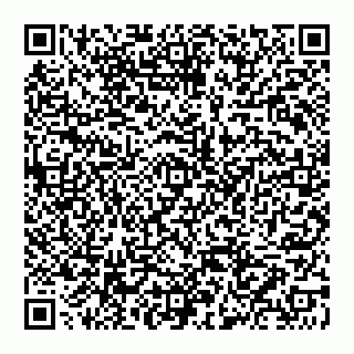 vCard 74952414381
