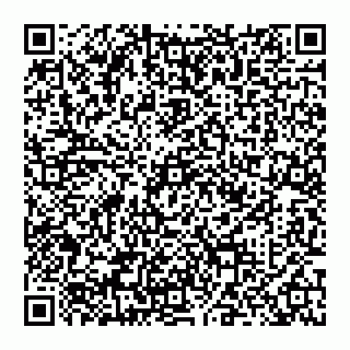 vCard 74952495803