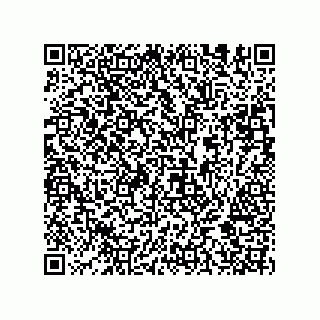 vCard 74952780009