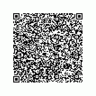 vCard 74952780011