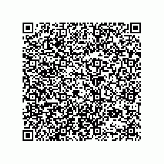 vCard 74952780021