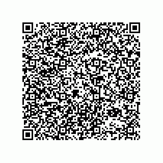 vCard 74952780041