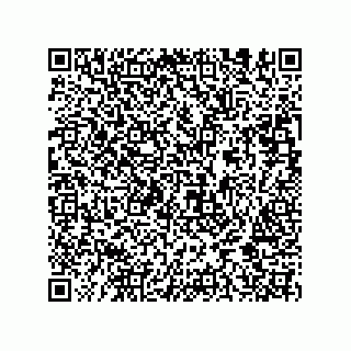 vCard 74952780133