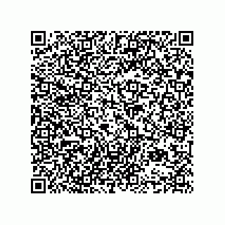 vCard 74952780163