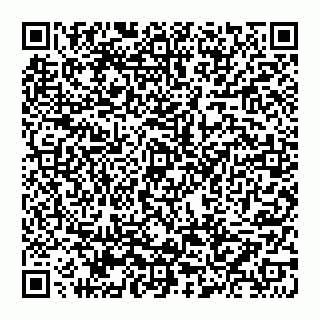 vCard 74952794131