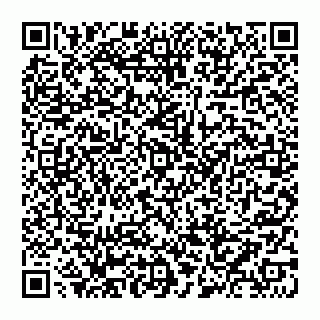 vCard 74952794173