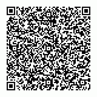 vCard 74952794381