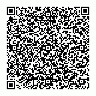 vCard 74952874381