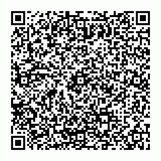 vCard 74952904381