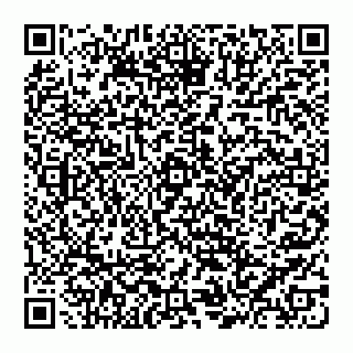 vCard 74953152417