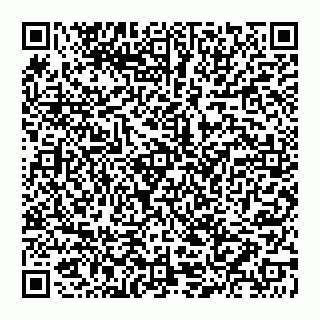 vCard 74953213370