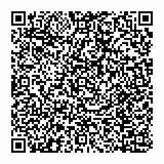 vCard 74953213381