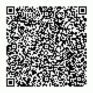 vCard 74953213385