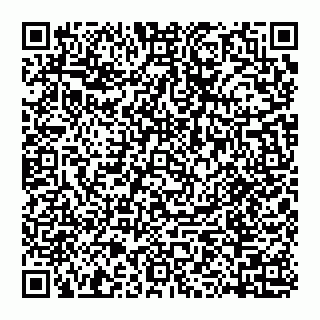 vCard 74953213411