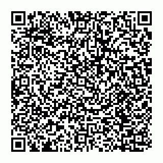 vCard 74953324285
