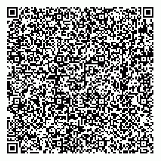 vCard 74953584138
