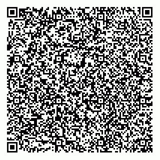 vCard 74953804040