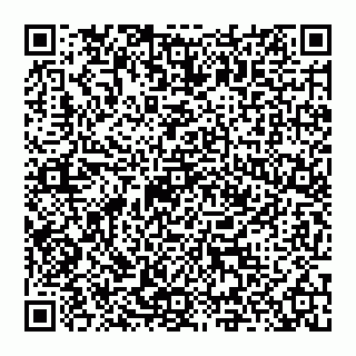 vCard 74954117119
