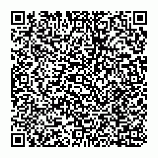vCard 74954781321