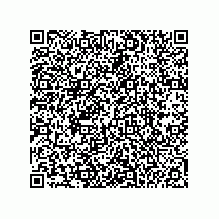 vCard 74955290317