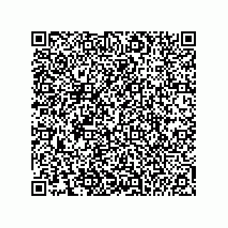 vCard 74955290384