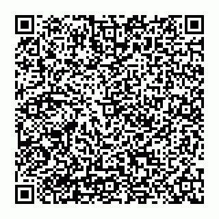 vCard 74955424980